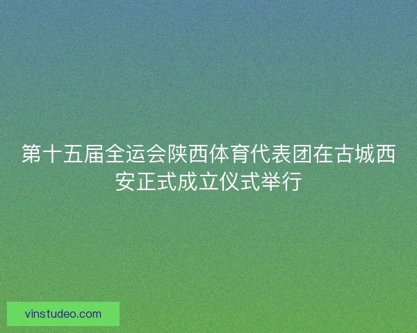 第十五届全运会陕西体育代表团在古城西安正式成立仪式举行 第十五届全运会陕西体育代表团在古城西安正式成立仪式举行